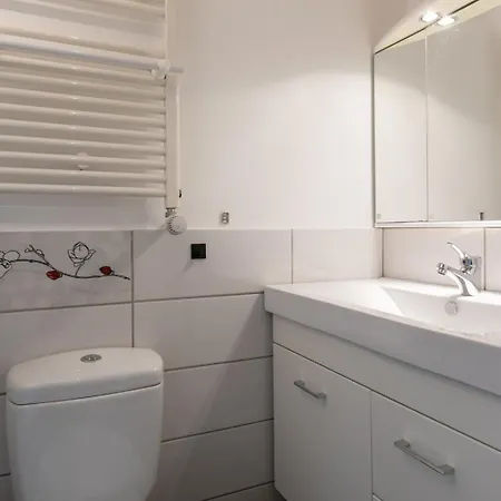 Joy - West סנט גאלן