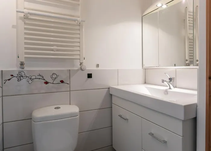 Joy - West St. Gallen